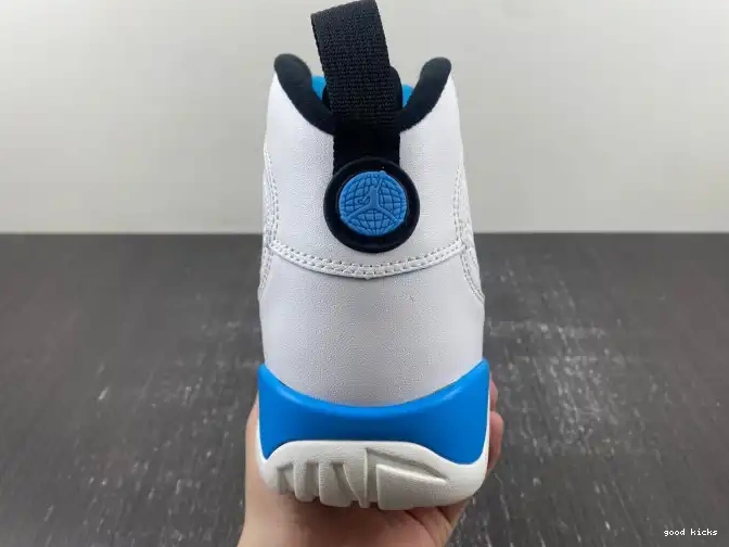 Powder Jordan FQ8992-101 Blue 9 Air 0405